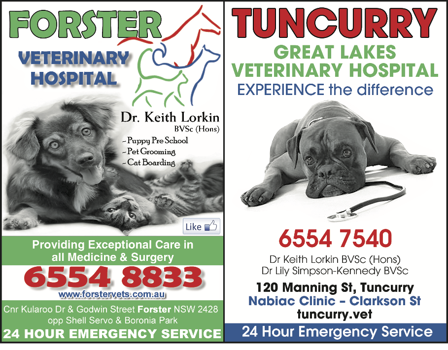 great lakes vet specialists