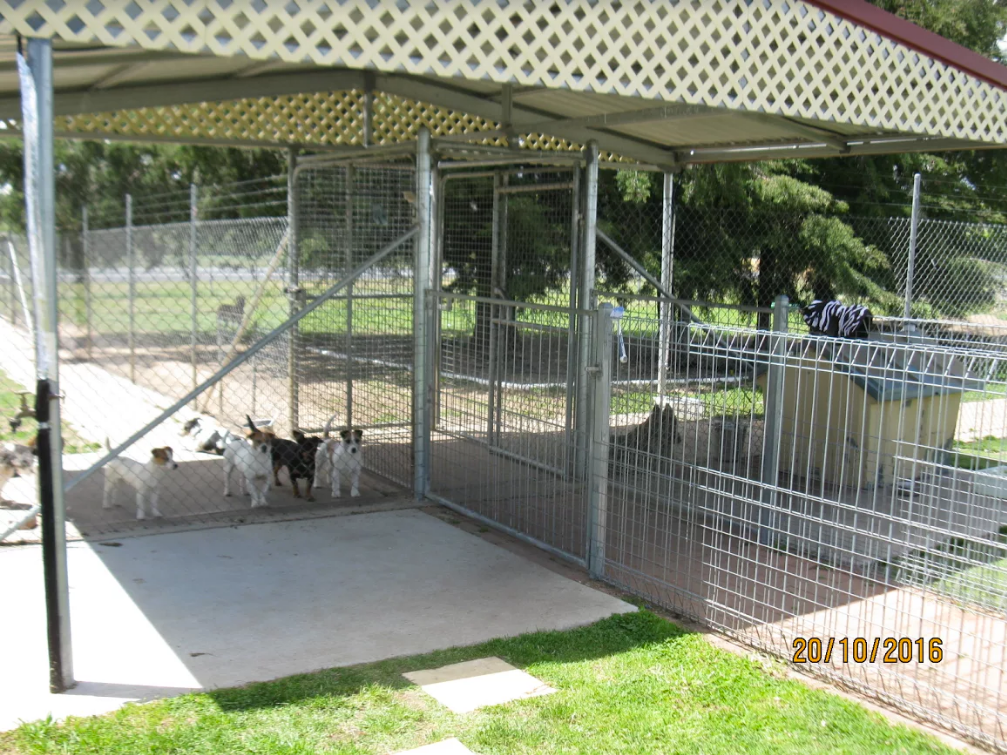 Pet Grooming Armidale