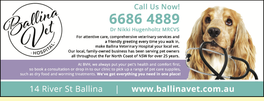 Ballina Veterinary Hospital In Ballina 2478 Nsw 14 Photos 4 Reviews Localsearch