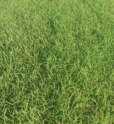 Marian Lawns In Marian 4 Reviews 14 Photos Localsearch