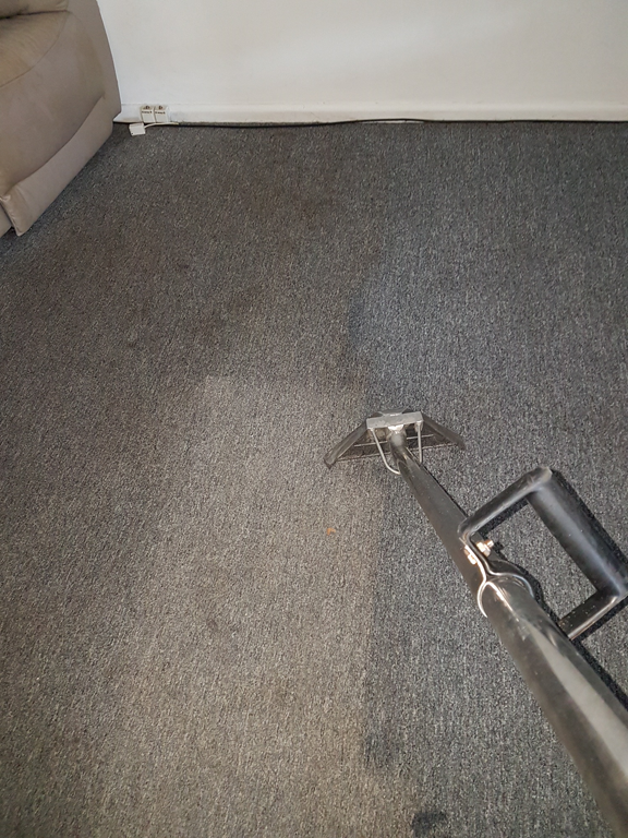 Pinnacle Carpet Cleaning Lincoln Ne